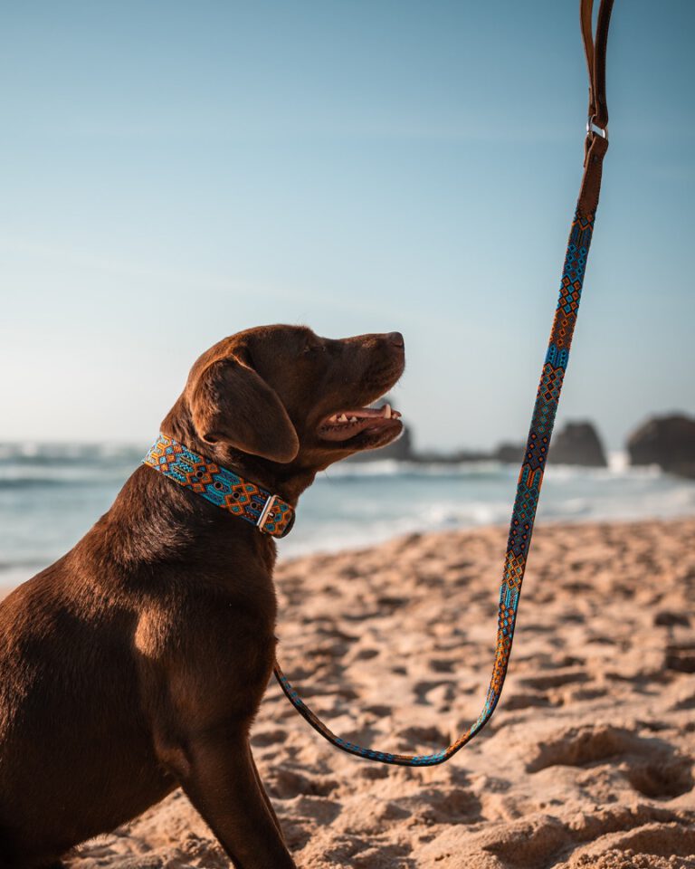 DSC0834-6713a2c8c43d7