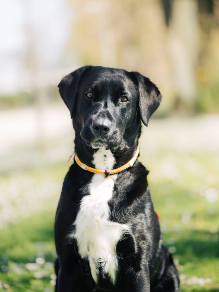 IMG_4664_compressed-67f0043a51417-scaled-1