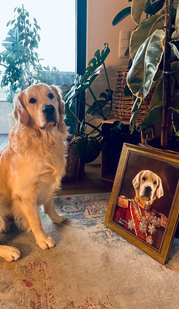 Screenshot_20240115_190916_Instagram-66fbf9c81bcbd